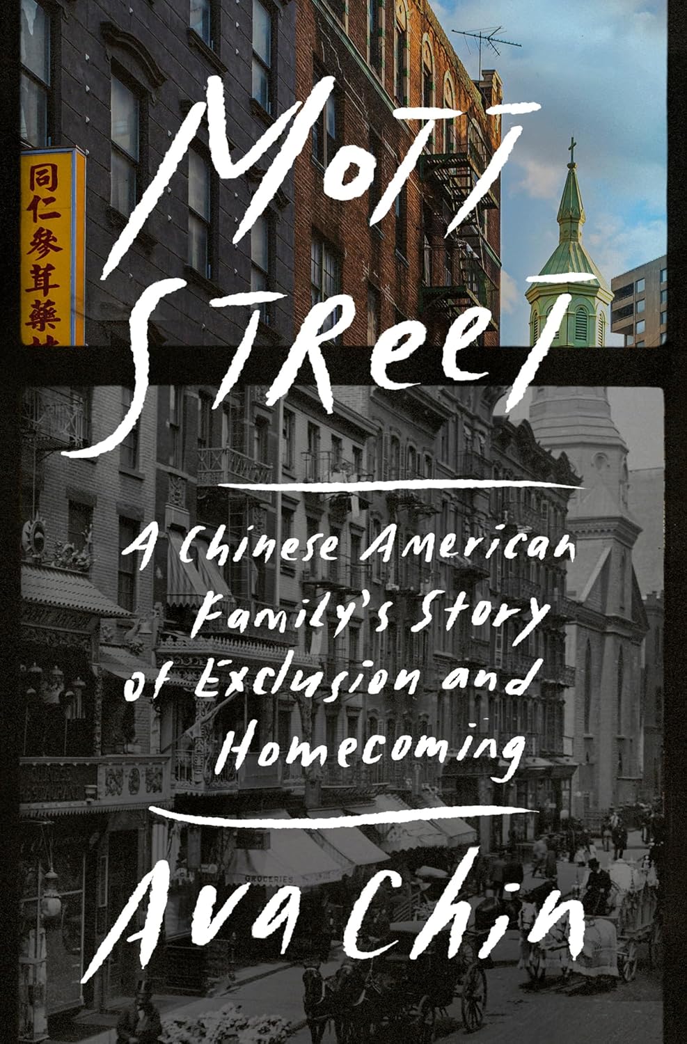 Mott Street: A Chinese American Family's Story of Exclusion and Homecoming, by Ava Chin