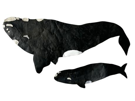Image of whales