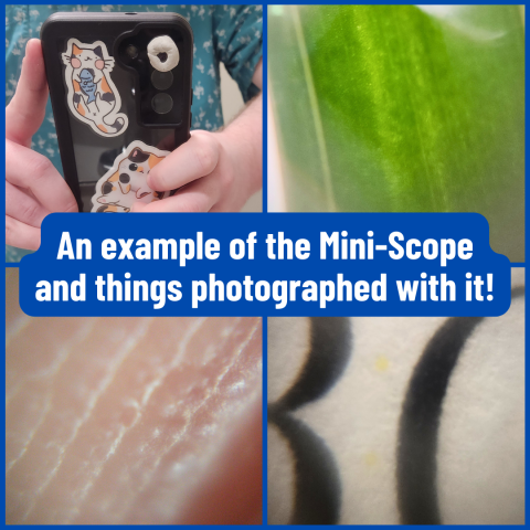 A sample of the mini-scope and three pictures taken with it, showing close ups of a leaf, finger print, and paper.