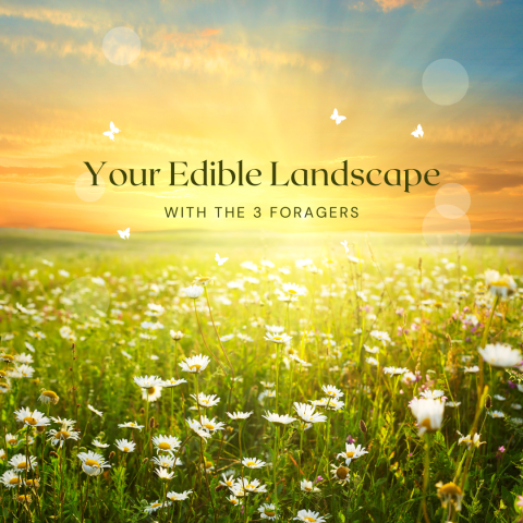 Your Edible Landscape