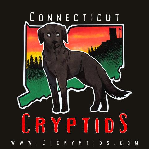 The Connecticut Cryptids Logo, a large black dog overlaid over a sunset woods scene in the shape of Connecticut