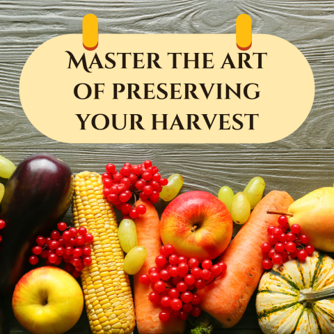 Master the Art of Preserving Your Harvest
