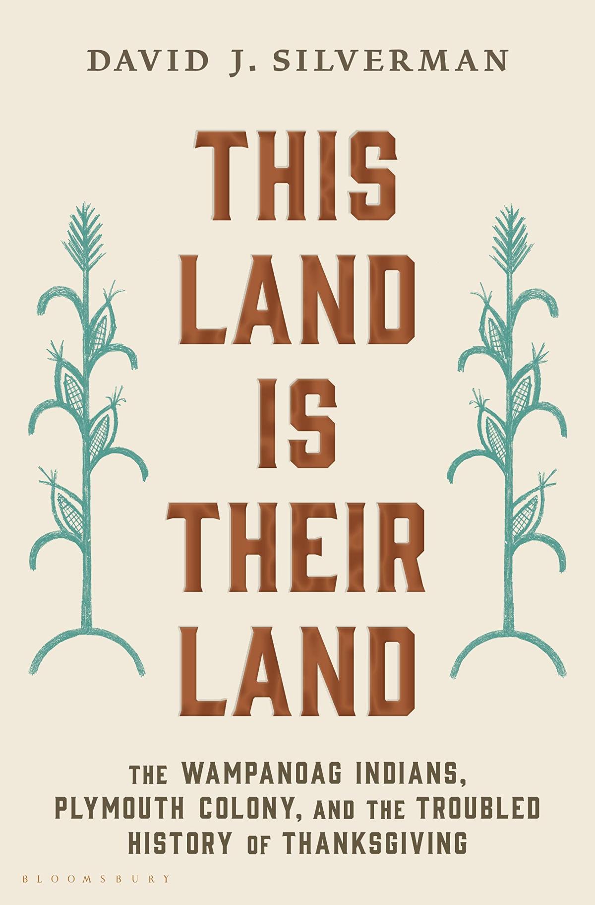 Cover of "This Land is Their Land" by David Silverman