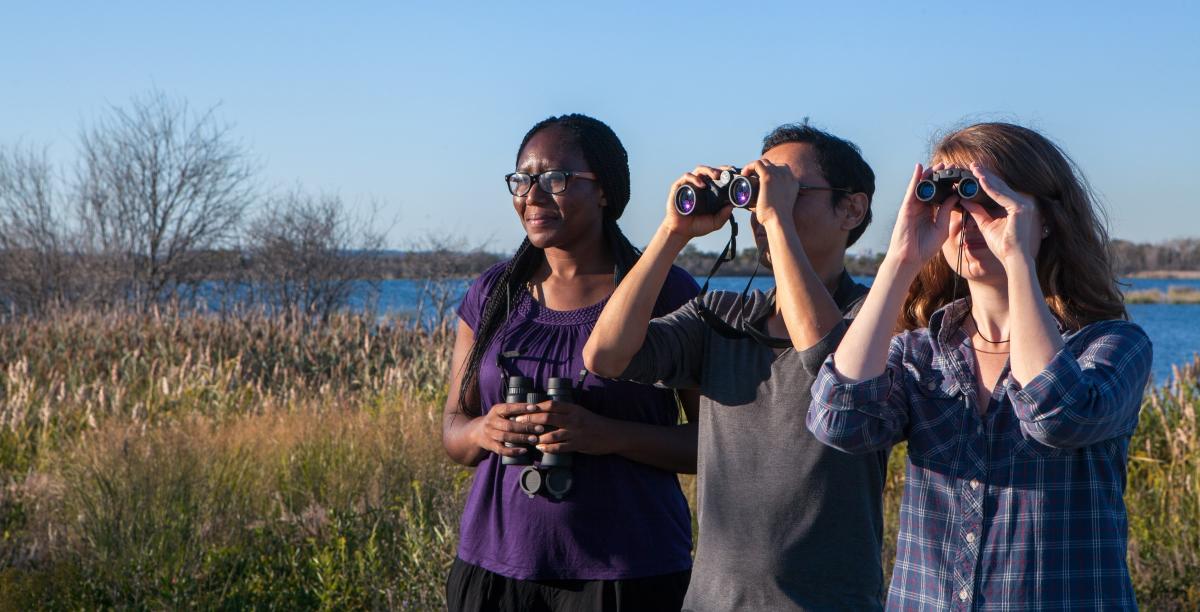 Group of birdwatchers