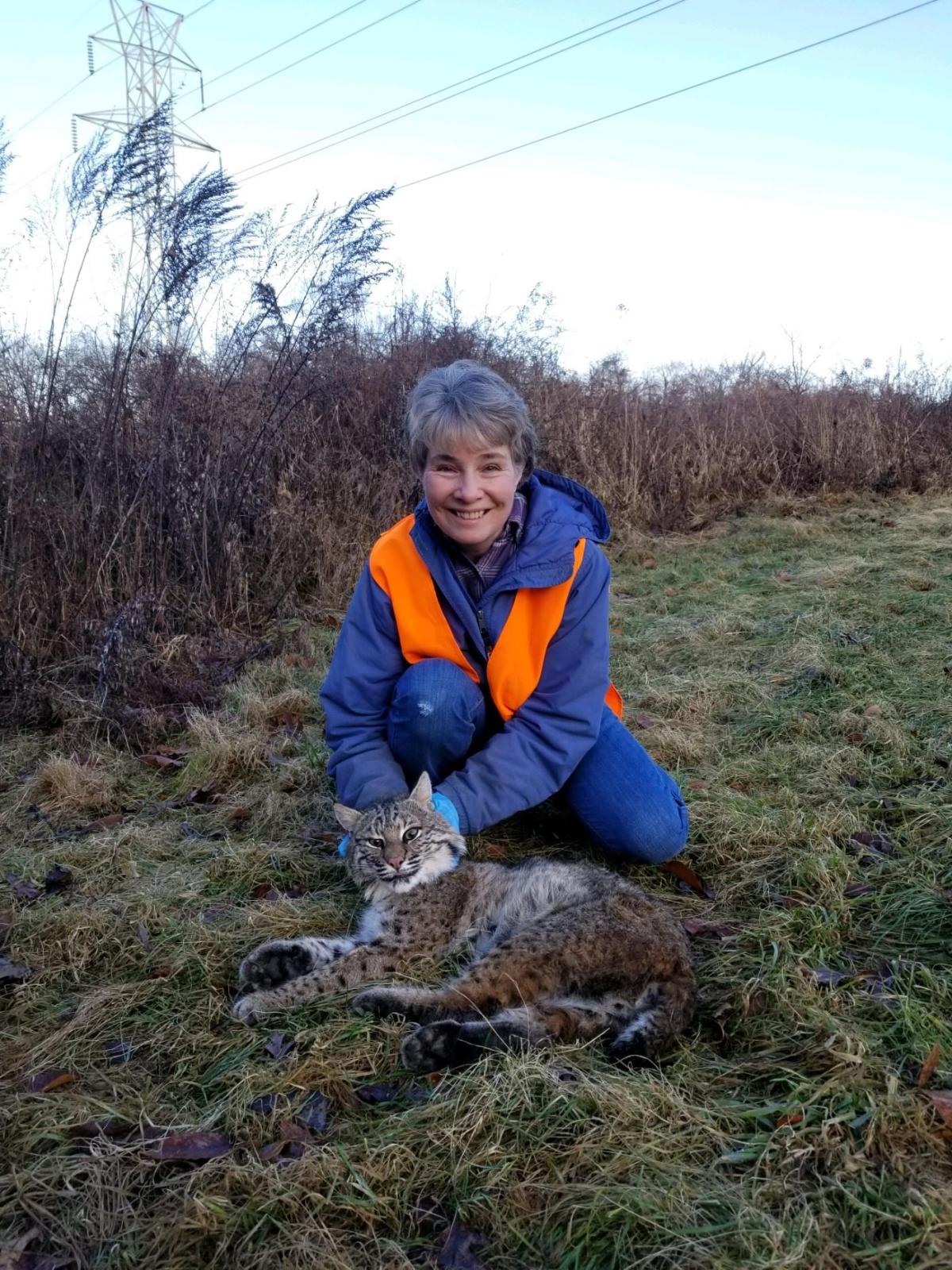 Image of Presenter Gail Cameron with a Bobcat