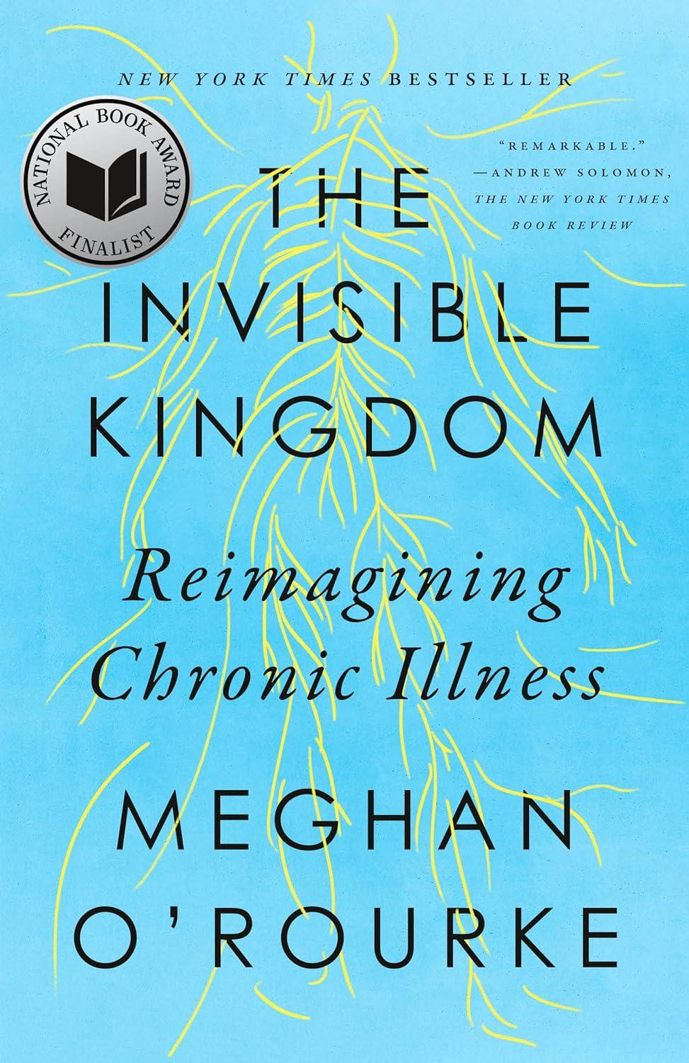 Image for "The Invisible Kingdom: Reimagining Chronic Illness"