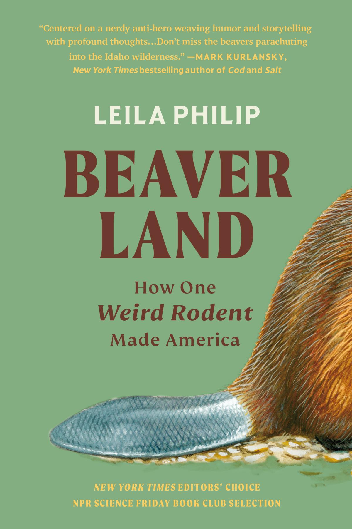 Cover Art for "Beaverland"